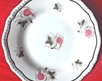 Very Rare Antique Victorian/ Late Georgian Porcelain Plate by H.R. Daniel 1824 -1836 .