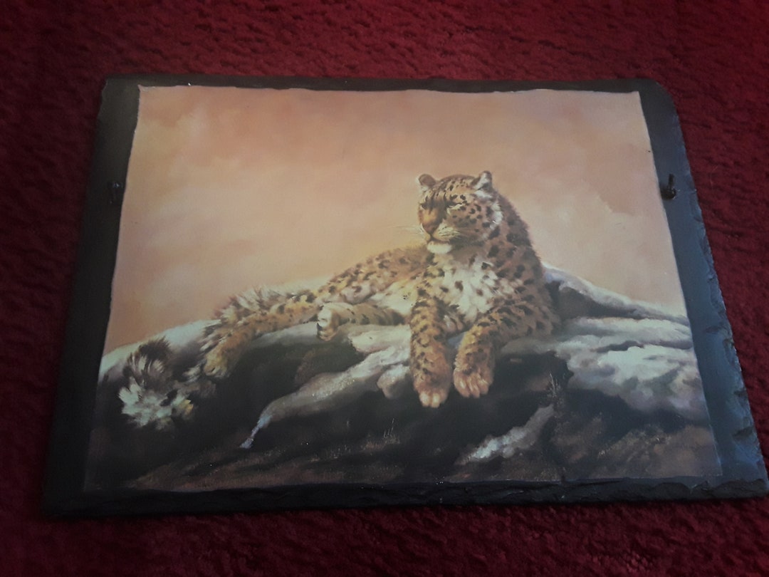 An Animal Print on Slate Ready to Hang Original Artist Silvia Etsy