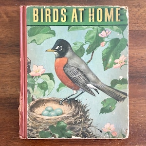 May include: A vintage book titled "Birds at Home" with a colorful illustration of a robin perched on a nest with three blue eggs. The robin has a black head, white breast, and orange belly. The background is a green leafy branch with pink flowers.