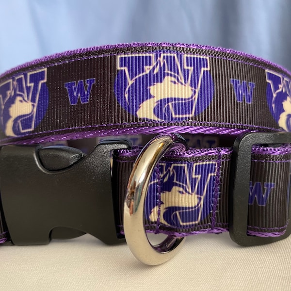 University of Washington Dog Collar. Purple and Gold Husky. UW Football, UW Sports, school spirit