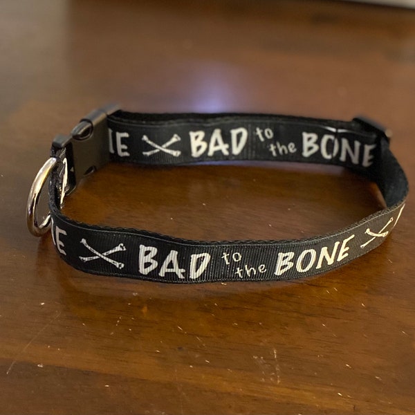 Bad to the Bone monicker dog collar