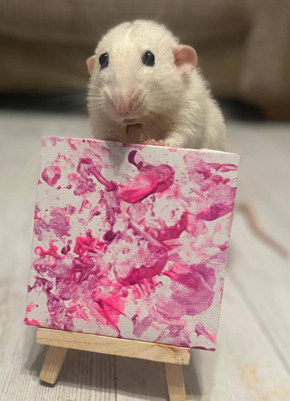Rat Artists Rat Paintings - create your own!