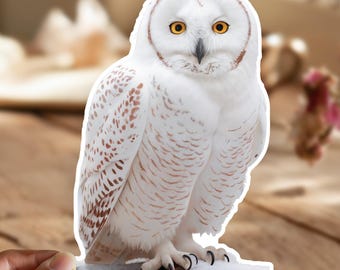 May include: A snowy owl with white and brown feathers, yellow eyes, and black talons. The owl is perched on a branch with snow on the ground.