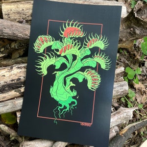 Dionaea - Print