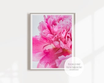 Pink Peony Macro Photography Print – Floral Wall Art (Digital Download)