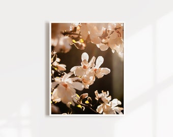 Magnolia Photo Print