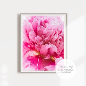 Flower Macro photography Rain drops on a pink Peony - Large poster, flower Insta download, wall art home decor, digital download print