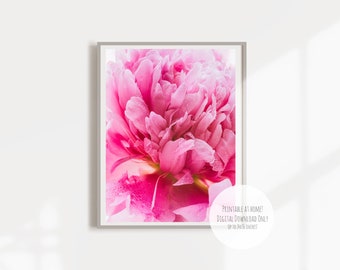 Pink Peony Macro Photography Print: Floral Wall Art (Digital Download)