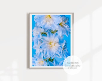 Bleu Delphinium Photography Print - Macro Floral Art (Digital Download)