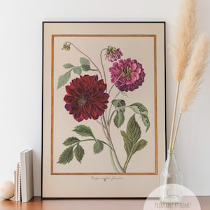 Affiche botanique - impression dahlia - téléchargement immédiat art mural fleur affiche antique, décoration d'intérieur art mural grand format, décoration florale vintage