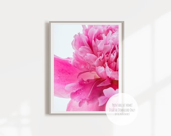 Macro photography of rain drops on a peony - Large flower print Montreal, Québec Canada