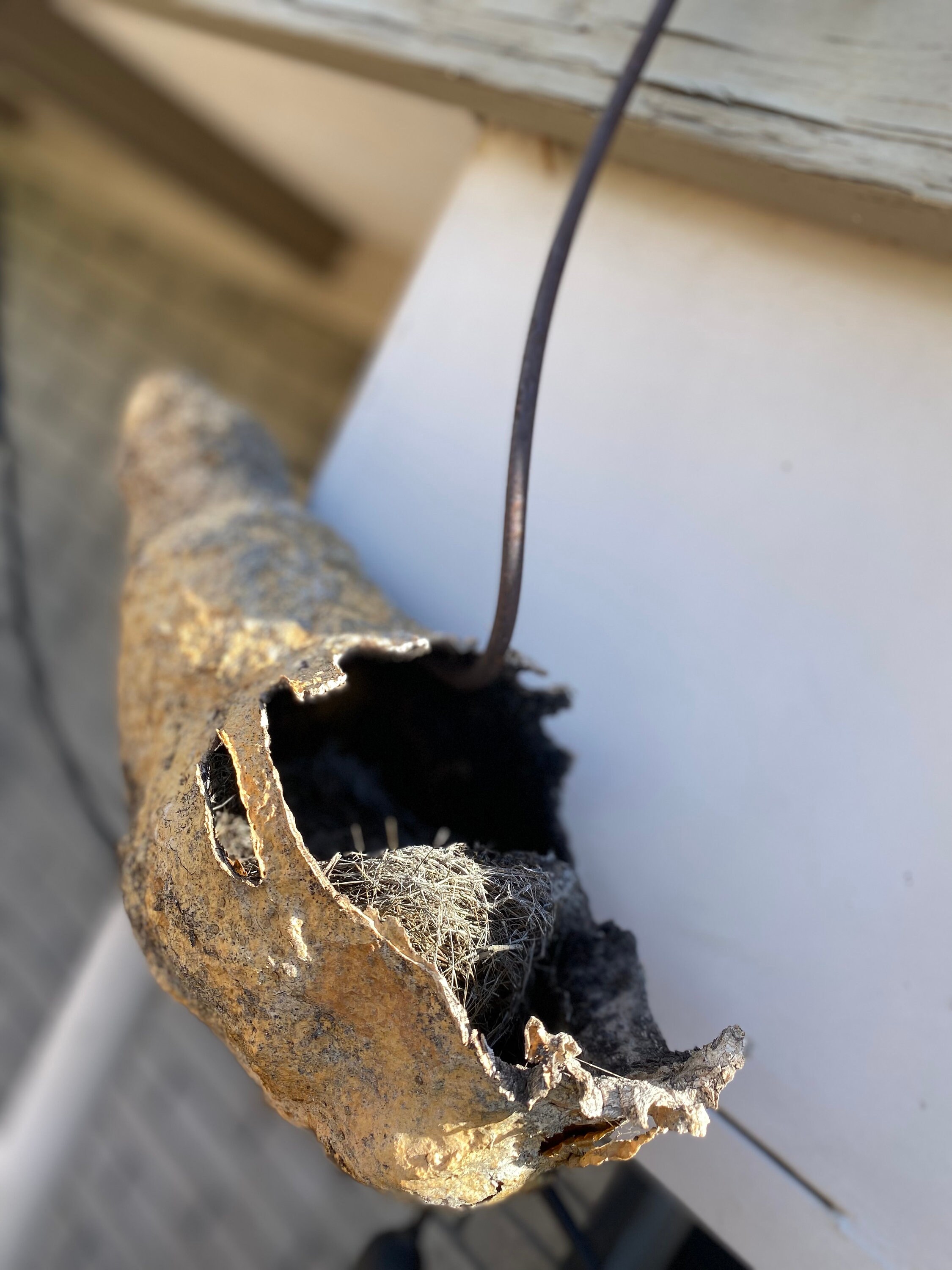 Extra Large Saguaro Cactus Boot Etsy