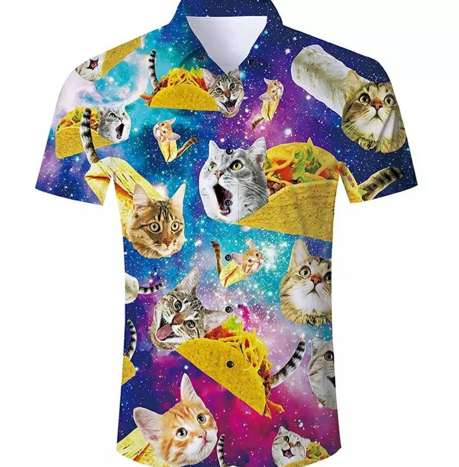 cat and taco shirt