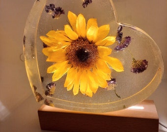 Real, Dried Sunflower Heart-shaped Block. Sunflower paperweight w/ purple Statice flowers. USB-corded light pedestal and plug included.