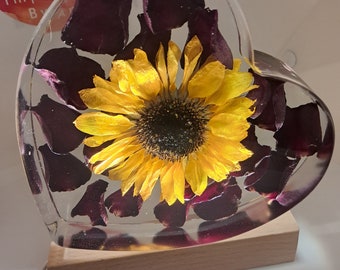 Real Sunflower Heart-shaped resin block. Paperweight. Décor. USB-corded light pedestal\plug included. Sunflower on a bed of rose petals.