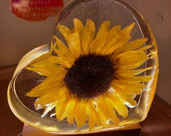 Real, dried Sunflower Heart Block Resin. Sunflower Lovers, Gifts for Her, Gifts for Him. Ready to ship!