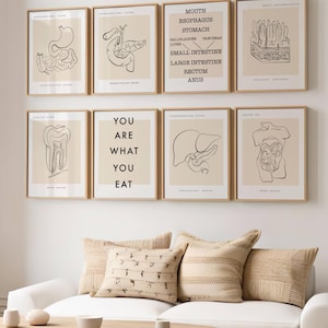 Digestive System Anatomy Art Print, Gastroenterology Wall Art, Human Stomach, Liver Print, Anatomical Digestive Tract,Doctors Office Decor
