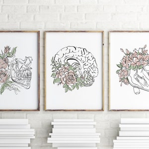 Art de l'anatomie cerveau coeur, cadeau étudiant en médecine, coeur anatomique, affiche anatomie florale, impression d'art médical, cadeaux art médecine minimaliste