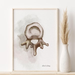 Vertebrae Anatomy Art Print, Chiropractor Gift, Watercolor Anatomy Art, Gift For Physicians, Spinal Poster, Orthopedic Art, Clinic Decor,