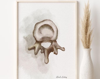 Könnte beinhalten: Ein Aquarellbild eines menschlichen Wirbels, eines Knochens der Wirbelsäule. Das Bild ist auf weißem Hintergrund mit einem hellgrauen Waschgang.