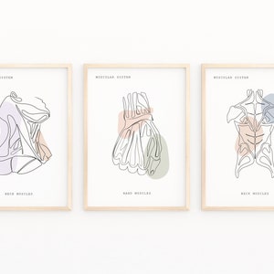 Medical Art, Anatomy Art, Muscular System, Anatomy Poster, Anatomy Print Set of 3,Medicine Wall Art, Muscles Anatomy, Medical Artwork