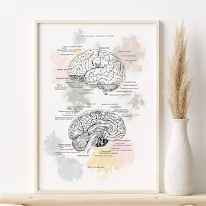 Brain Anatomy Wall Art, Medical Art, Neurology Office Decor, Anatomical Poster, Cerebrum Neurologist Gift, Brain Poster Mental Health Print