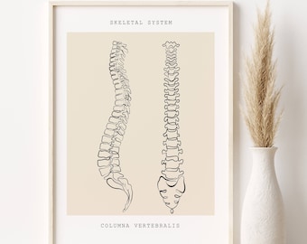 Spine Anatomy Art Print, Medical Wall Decor (Digital Download)
