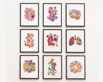 Conjunto de láminas artísticas de anatomía en acuarela, ilustración médica floral (descarga digital)