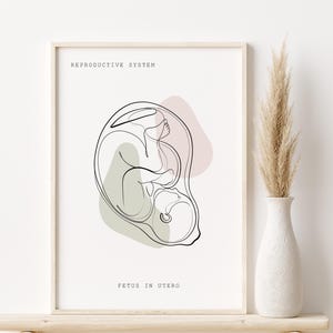 Arte mural de anatomía del feto, arte del sistema reproductivo, arte médico, impresiones de anatomía, póster de anatomía, decoración clínica, regalo para doctor, anatomía instantánea