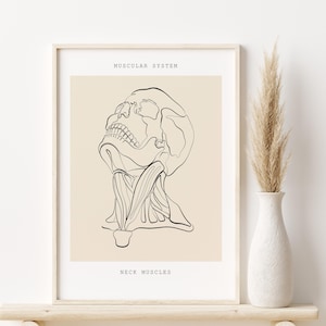 Human Skull Anatomy, Medical Art Prints, Skeleton Wall Art, Anatomy Line Art Printable, Doctors Office Art, Chiropractic Art, Anatomy Poster