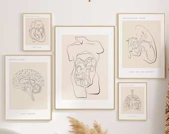 Minimalistische anatomie lijnkunstprints, medisch kantoordecor (digitale download)