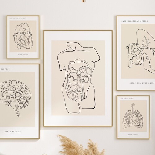 Anatomy Wall Art Human Anatomy Set of 6 Prints Medical Art Etsy