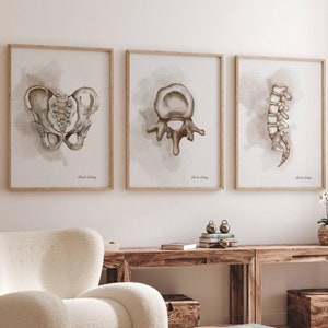 Chiropractor Watercolor Art Set, Medical Anatomy Art Prints, Chiropractic Gifts, Vertebrae, Spine, Physical Therapy Art, Doctor Office Decor
