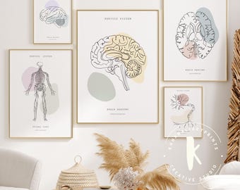 Minimalist Nervous System Anatomy Print - Neurology Art (Digital Download)