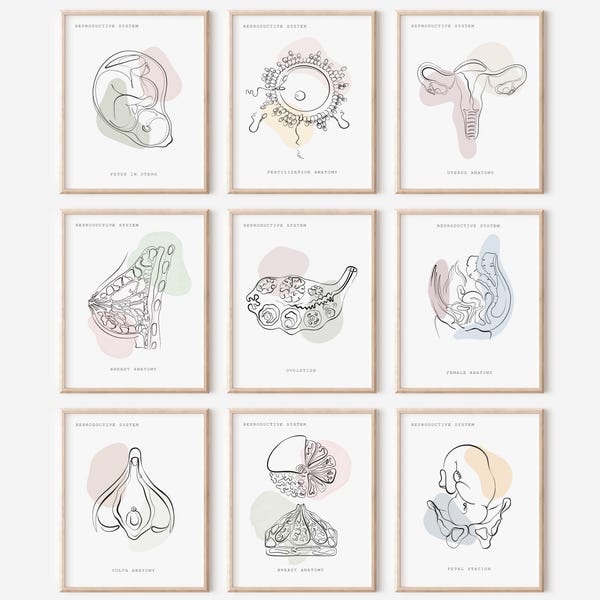Obgyn Art - Etsy