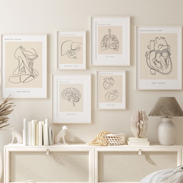 Anatomy Art Set, Human Anatomy Art, Doctors Day Gift,Clinic Wall Decor, Line Art Print Set, Medical Gift For Her, Doctor Wall Art