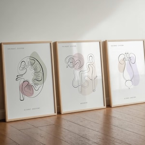 Set 3 Harnsystem Anatomie, Niere medizinische Kunst, Nephrologen Büro Geschenk, anatomische Nieren, Glomerulus Kunst, Urologie Kunst, Arzt Geschenk