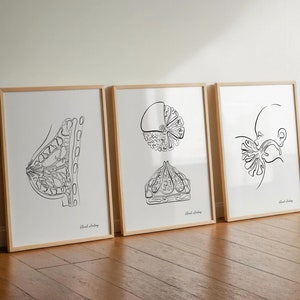 Arte de ginecología, arte mural de anatomía femenina, póster de lactancia materna, arte de glándulas mamarias, impresión de arte médico, impresión de senos, decoración de oficina de partera de ginecología