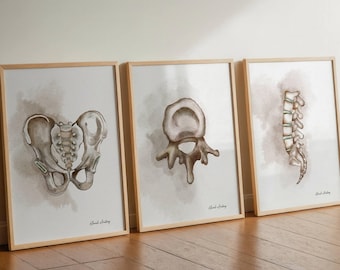 Watercolor Anatomy Art Set, Spine & Vertebrae Prints (Digital Download)