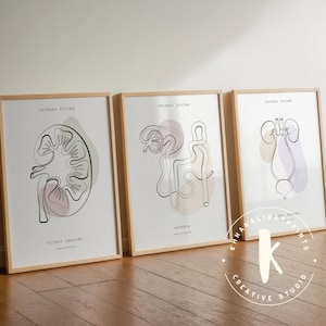 Harnsystem Anatomie Art Prints, Nephrologie Geschenk (3er Set) (Digitaler Download)