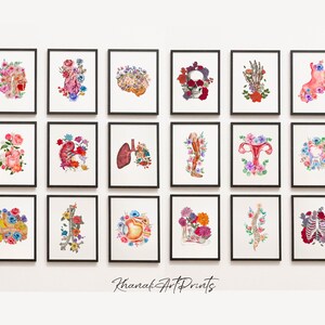18 Anatomy Gallery Wall Art Set, Watercolor Medical Poster, Anatomy Print, Colorful Anatomy, Doctor Office Decor, Anatomy Printable