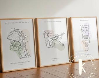 Lámina artística de anatomía otorrinolaringológica: ilustración minimalista de oído, nariz y garganta (descarga digital)