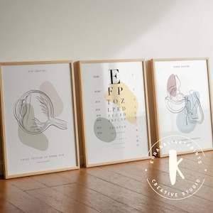 Augenanatomie Kunstdruck - Vintage medizinisches Poster (Digitaler Download)