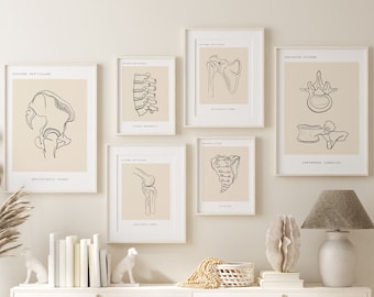 Human Anatomy Art Prints,Medical Wall Art Set, Anatomy Art Set, Anatomy Poster, Orthopedist Wall  Art Set, Chiropractic Posters,Clinic Decor