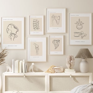 Human Anatomy Art Prints,Medical Wall Art Set, Anatomy Art Set, Anatomy Poster, Orthopedist Wall  Art Set, Chiropractic Posters,Clinic Decor