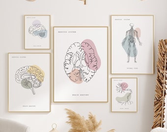 Anatomy Art Prints, Nervous System Anatomy, Brain Wall Art, Medical Art,Anatomy Poster,Anatomy Print Set,Minimalist Anatomy Line Art Digital