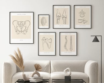 Anatomy Art Print Set, Chiropractic, Orthopedic Decor (Digital Download)