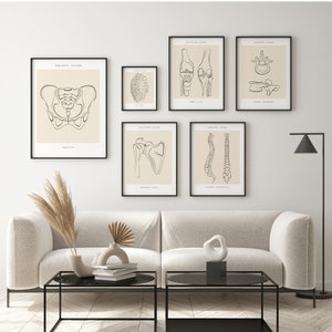 Art chiropratique, ensemble d'impressions d'anatomie, art de kinésithérapie, chiropratique, affiches orthopédiques, décoration de cabinet médical, impression d'art os
