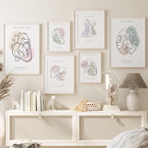 Anatomy Line Art Print Set of 6, Medical Wall Decor (Digital Download)