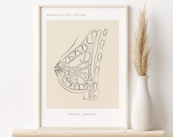 Lámina artística de anatomía mamaria, regalo para ginecólogos y obstetras (descarga digital)